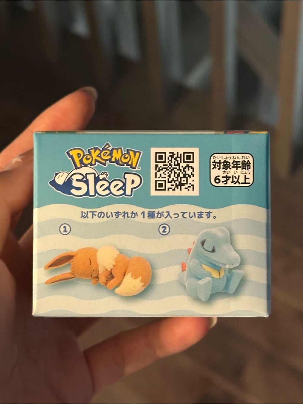 Pokemon CYAN BEACH Sleep Collectible Box